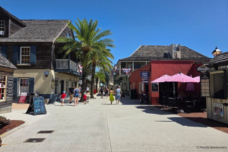 18 Best Things to do in St. Augustine with Kids